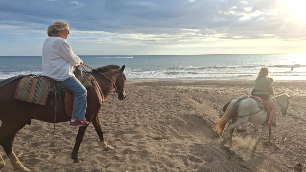 Horseback-riding-tour-watching-the-sunset