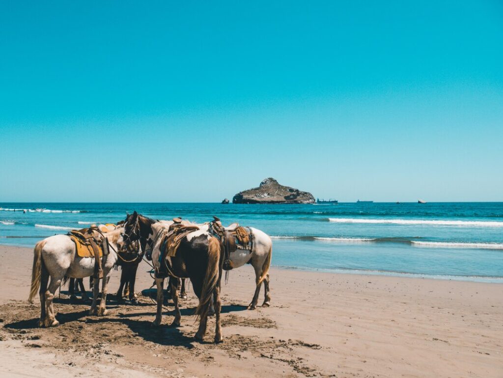 The Best Landscapes of Jacó Seen from a Horse
